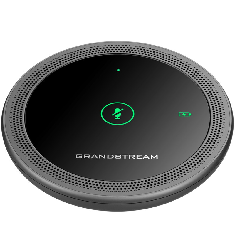 GrandStream GMD1208